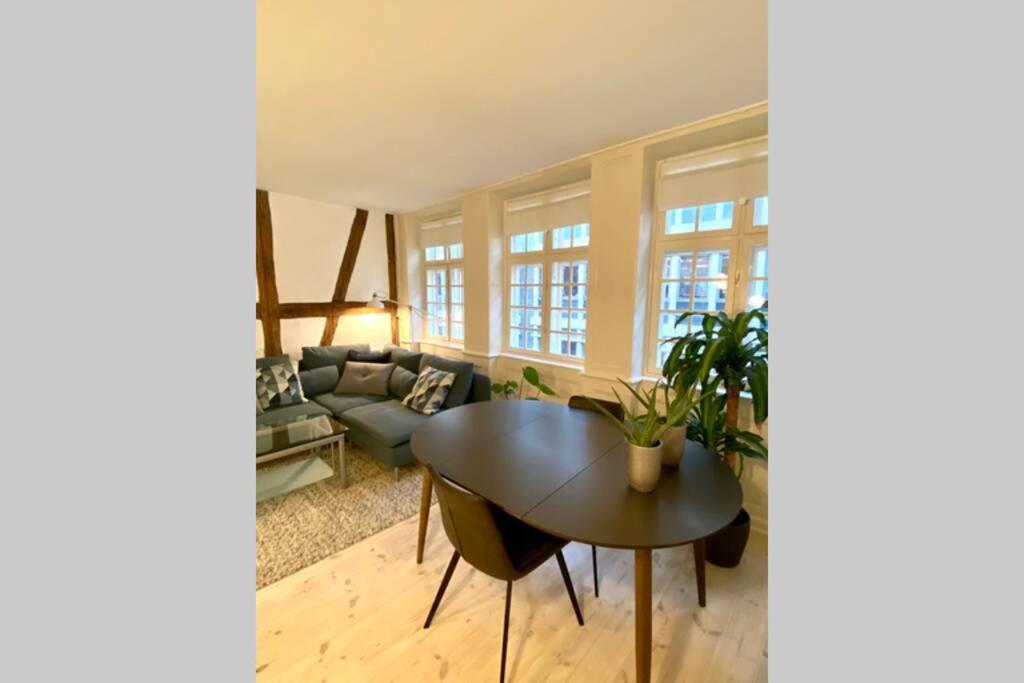 Luxury 'Kings Garden' City-Flat In Center Of Town Apartment Copenhagen Exterior photo